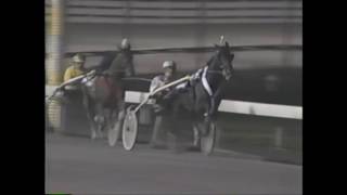 1991 Open Mare Trot - Me Maggie