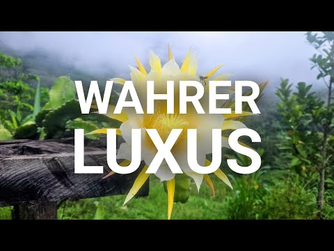 AUSWANDERN UND AUSSTEIGEN -  Mit der Natur Leben in Peru! 🇵🇪