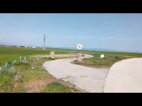 Video Doogee S88 Plus sin estabilizador de imagenes colores blanqueados.