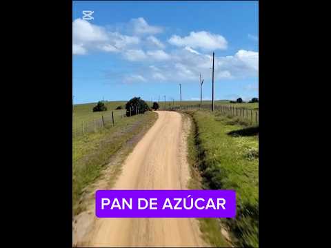 PAN DE AZÚCAR URUGUAY #viral #youtubeshorts #atardecer #maldonado