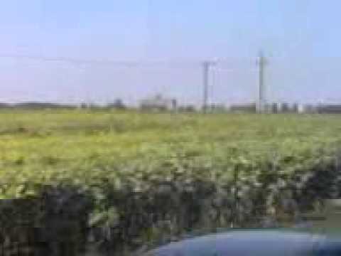 09 08 08 1417 podul la drajna noua