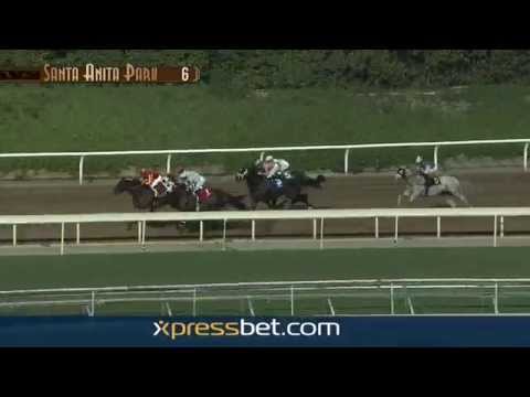 Palos Verdes Stakes Gr. II - Saturday, January 31 2015 HD