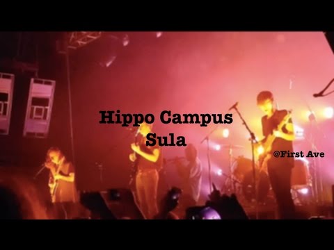Hippo Campus- Sula *unreleased*- First Ave