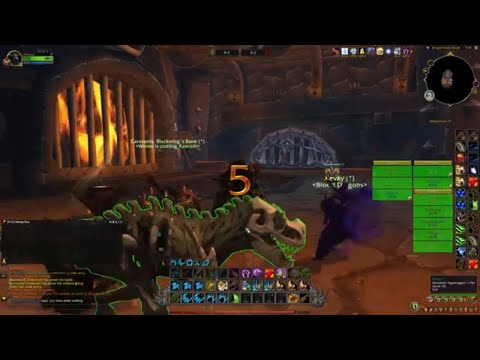 Dragonflight Feral Druid PVP Twin Peaks