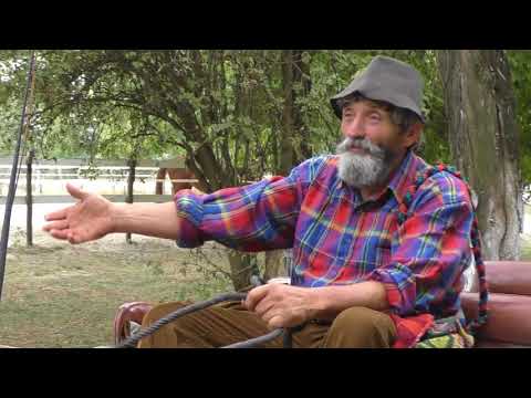 BEAN festival Pasuljijada 2017 - Specijalna najava by Gojko Todorović :)