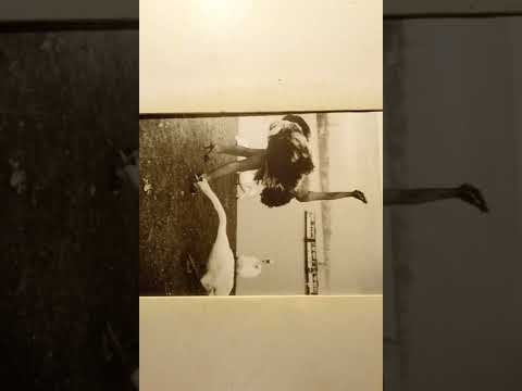 Julian Fuhs  Look Who's Here  Vox 8025/1925