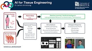 Artificial Intelligence for Tissue Engineering and Regenerative Medicine - James Armstrong