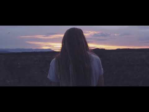 Alan Walker Style, Goetter - NEW YEAR (Official Video)