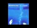 morphine--swing it low - aaqilian morphine--swing it low