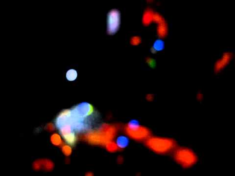 Nima Gorji live @ XS Club ( Iasi - Romania ) 18.09.2010  - part 4