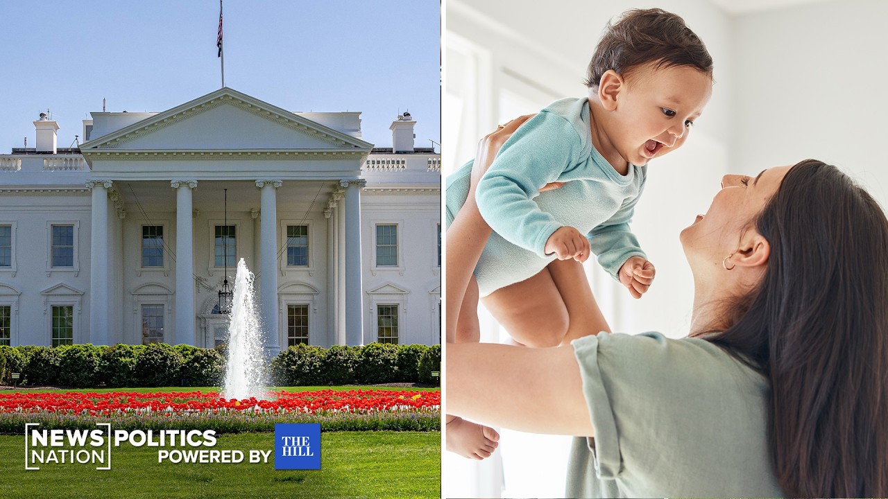 Political news and analysis from The Hill