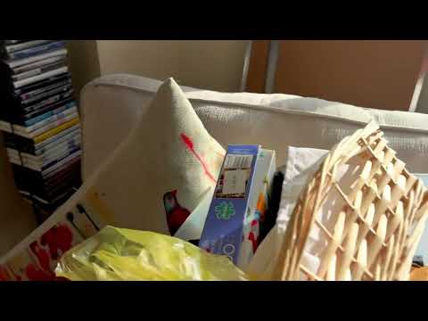 Cockroaches Crawling Throughout Cluttered Apartment in Bedminster, NJ