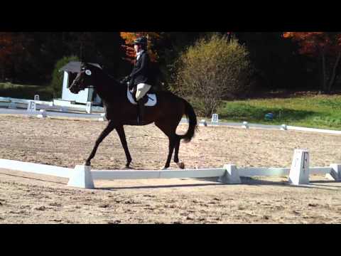 Sara/Remy Apple Knoll 10/17 Dressage