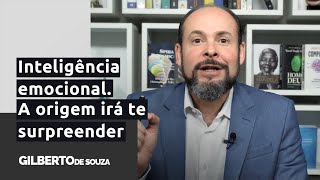 A origem do conceito inteligência emocional