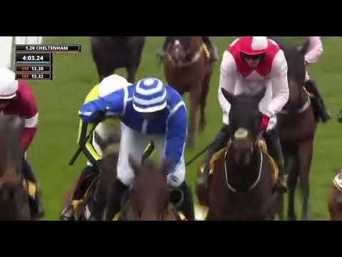 Poniros wins the Triumph Hurdle 2025 at 100/1  🐎👀  That race was absolutely...