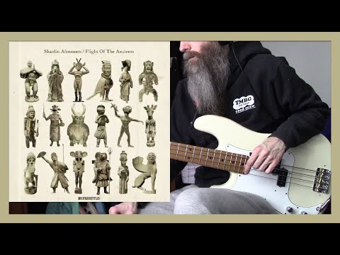 Shaolin Afronauts - Journey Through Time (bass cover)