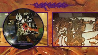CARCASS - Carneous Cacoffiny / Lavaging Expectorate Of Lysergide Composition