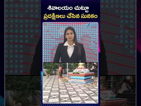 Dog Circumambulating Around The Shiva Temple  | శివాలయం చుట్టూ ప్రదక్షిణలు చేసిన సునకం Teluguvoice