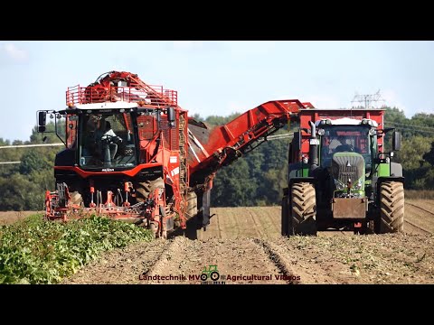 Grimme - JCB - Holmer - Fendt / Rübenernte und Verladung - Harvesting and Loading Sugar Beets