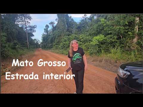 ESTRADA DE SINOP POR NOVA UBIRATA ATÉ BOA ESPERANÇA DO NORTE RODANDO DE CAMIONETA PELO INTERIOR
