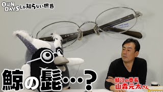 【高すぎるメガネ】希少フレームの世界 〜 OWNDAYSしか知らない世界 #13 〜