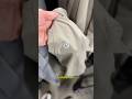 LULULEMON For Cheap At Goodwill Lululemon Goodwill Thrifter Reseller