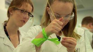 NISEP Science Experience 2017 - Extended promo