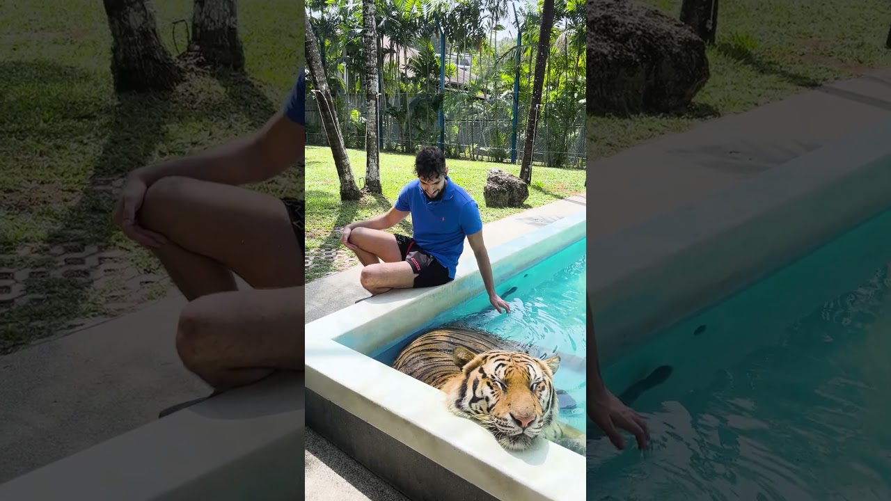 YouTube Short thumbnail