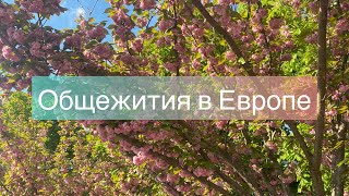 Stupendium Hungaricum Общежитие в Венгрии, г. Веспрем (Vesprem, Veszprém) Hostel Magister НА РУССКОМ