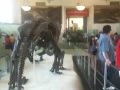 Museo De New York Parte 3