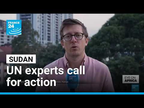 UN experts urge Sudan-wide arms embargo