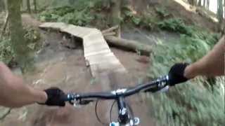 preview picture of video 'Trek Fuel EX9-Pukeora Mountain Bike Park-Sail'