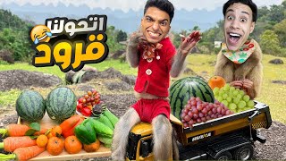انا وصديقي ام كامل تحولنا الي قرود عشان نطلع علي اعلي قمه جبل في العالم ???????? ???? | roblox