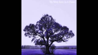 Sam Roberts Band - "Higher Learning" - We Were Born In a Flame