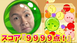 【スイカゲームで大発狂】スイカみたいな頭になる