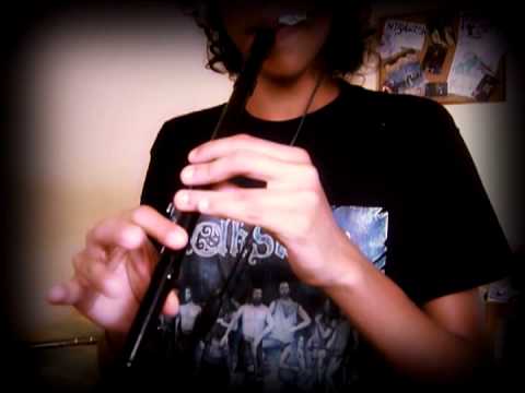 Furor Gallico - Medhelan Cover (Tin Whistle and Flute) By Juänes!