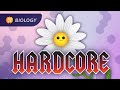Plant Anatomy Physiology Plants Are Hardcore Crash Course Biology 42
