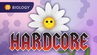 Plant Anatomy & Physiology: Plants Are Hardcore: Crash Course Biology #42