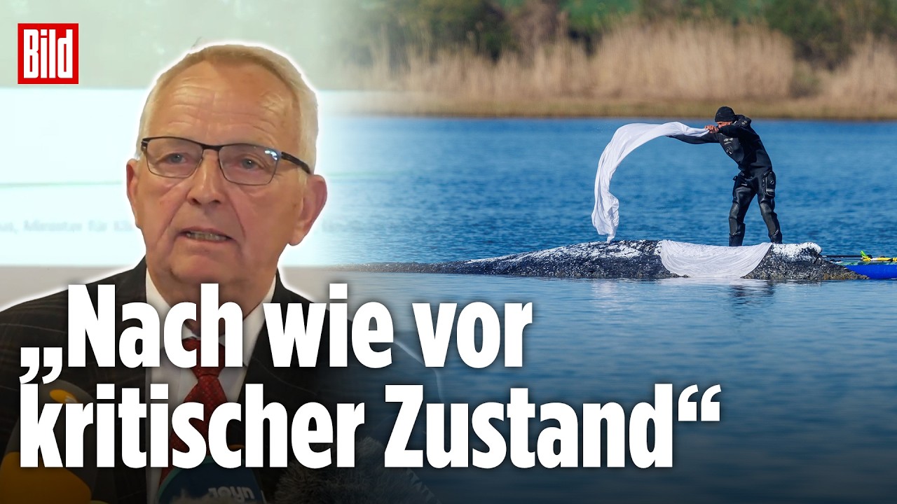 DRAMA UM OSTSEE-WAL TIMMY: Das ganze Statement von Minister Backhaus
