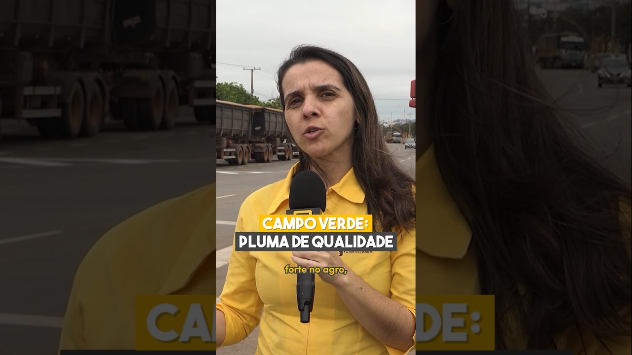 Campo Verde: pluma de qualidade