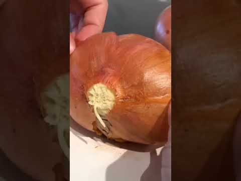 The Most Hyperrealistic Cake Ever Made!