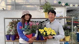 전문가와 함께하는 국화&붓들레아 관리법 feat. 황석정 #58 (2022-09-30)