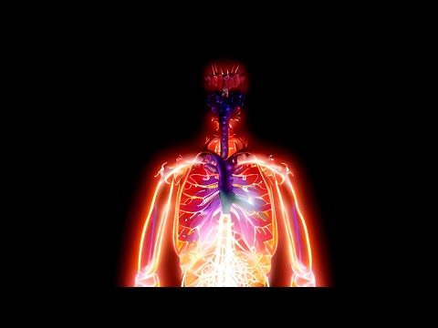 Röyksopp - 'The Next Day' ft. Jamie Irrepressible (Mind Against Remix) (Official Video)