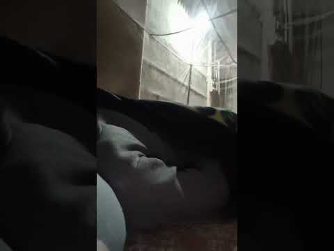 Asmr sleep relaxation I hard 🔥 sleep stream I sleep stream live I sleep stream new today I relaxing 