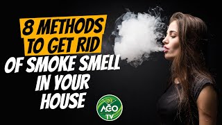 8 Methods to Get Rid of Smoke Smell in Your House | How to Get Rid of Smoke Smell in Any House