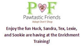 Enjoy the Fun with Huck, Sandra, Tex, Lexie and Sookie!