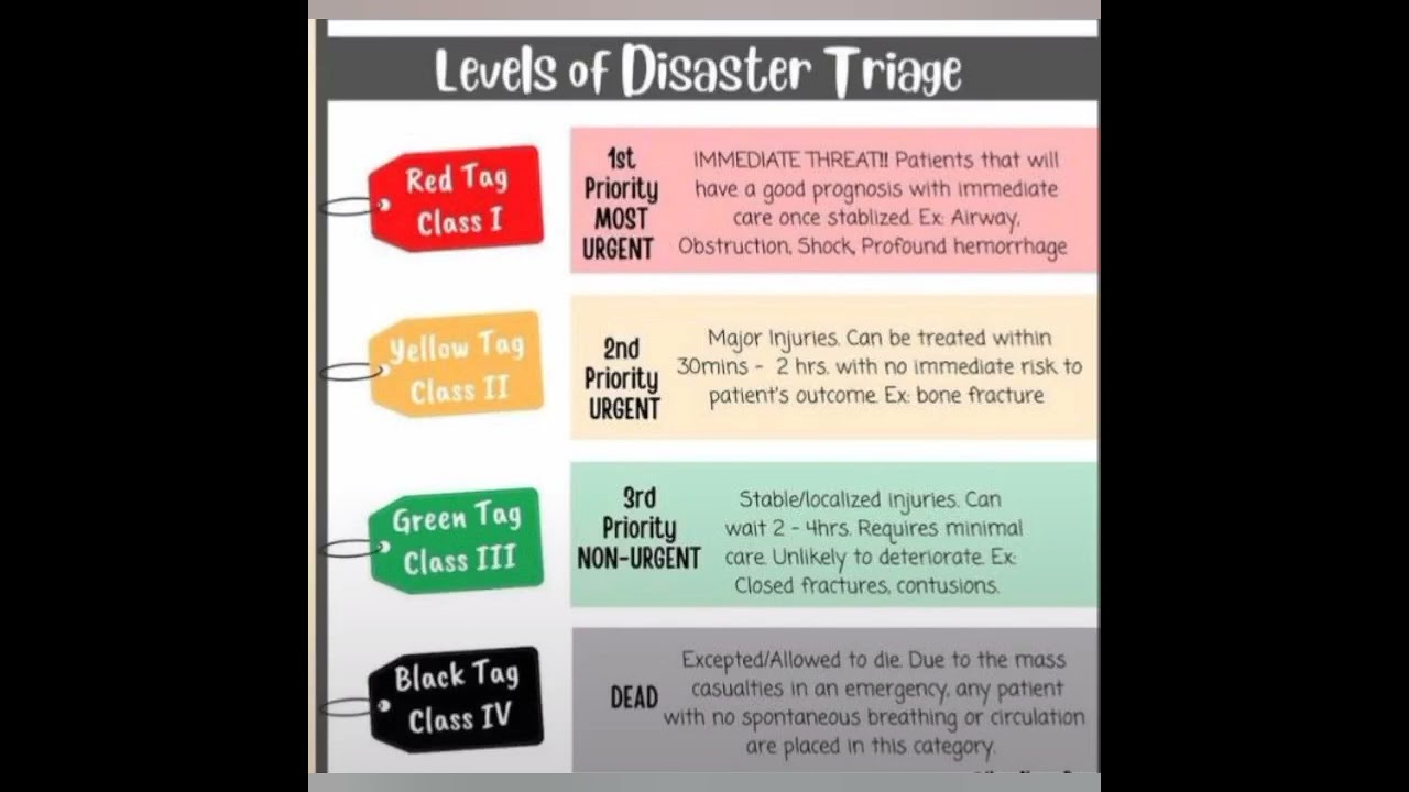 Disaster Triage