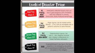 Disaster Triage