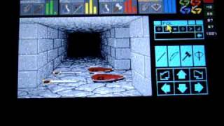 Dungeon Master pspuae 0.72 level 8-9