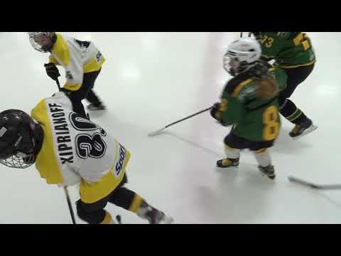 Ilves U15 Tytöt vs Pirkkalan Pingviinit U12 Pojat Harjoituspeli 2.9.2021